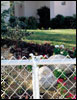 Chain-Link Fence Systems